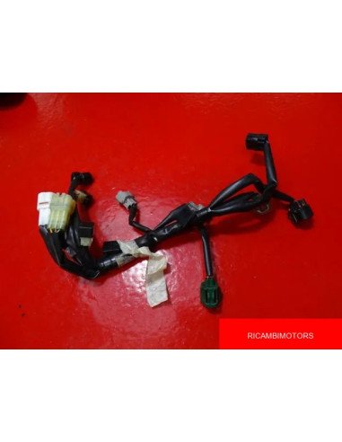 IMPIANTO ELETTRICO CORPO FARFALLATO YAMAHA XJ6 XJ6