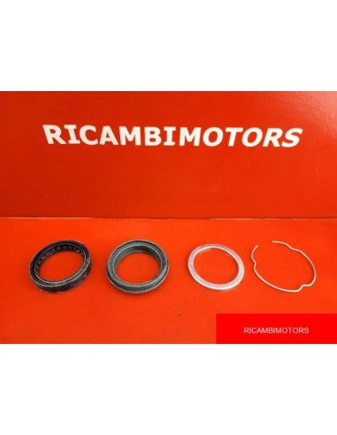 GUARNIZIONE PARAOLI FORCELLA BMW R1250R RS LC