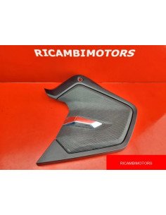 COVER CASSA BMW R1200RT R1250RT LC