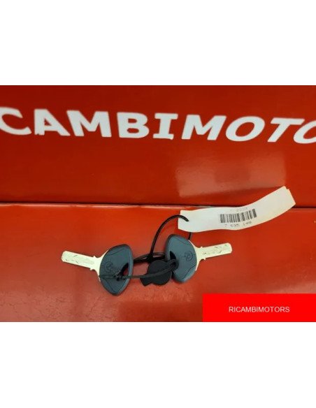 CILINDRETTI BORSE BMW R1200 F800