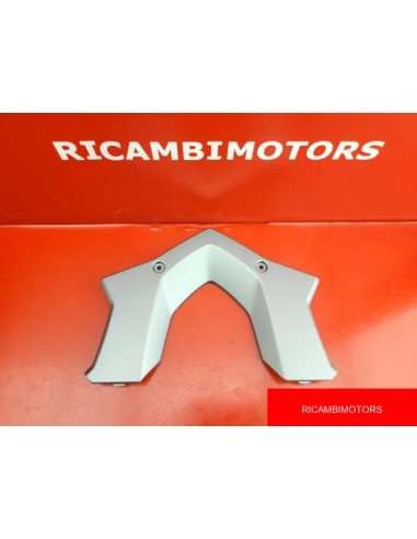 COVER PORTAPACCHI BMW R1200RS LC R1250RS