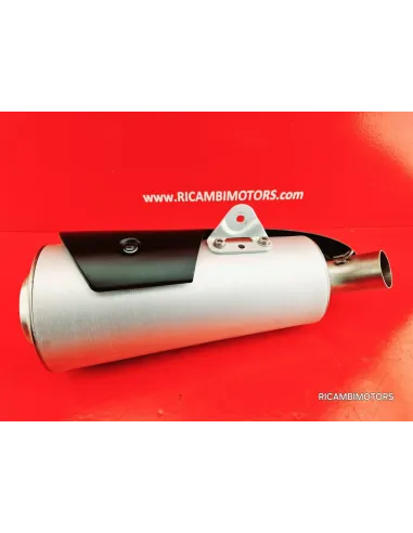 SCARICO DUCATI MONSTER 796 1100
