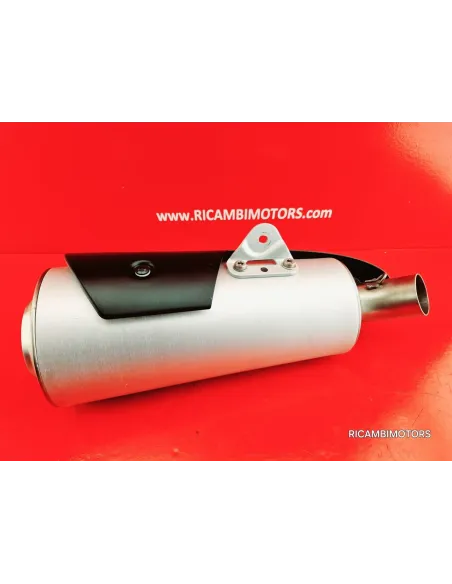 SCARICO DUCATI MONSTER 796 1100